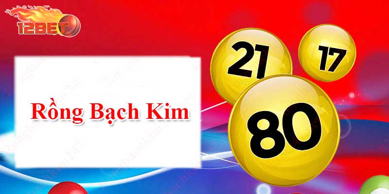 Hướng dẫn soi cầu rồng bạch kim tại link 12bet 2025