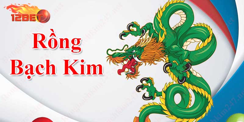 Chia sẻ phương pháp soi cầu rồng bạch kim cực chuẩn 12bet